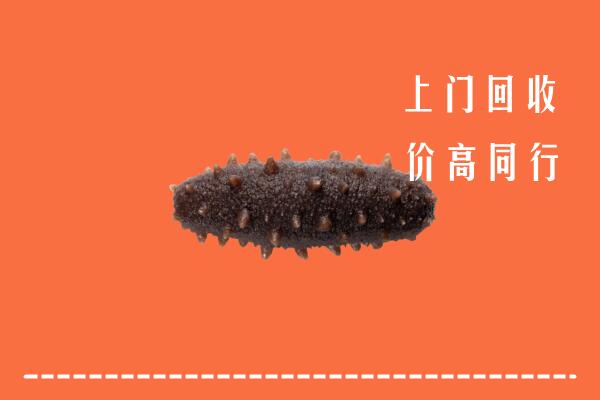 赤峰高价回收海参